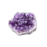 c1